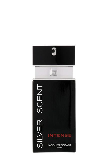 عطر سيلفر سينت إنتينس 100مل