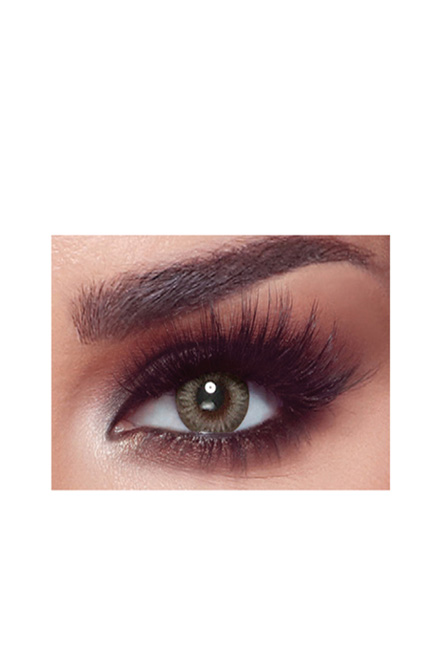 Oneday Platinum Gray Lenses
