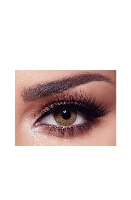 Oneday Radiant Hazelnut Lenses