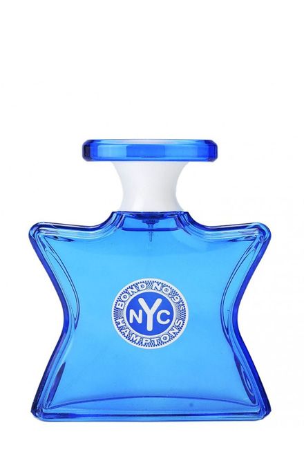 عطر هامبتونز المركز 100 مل