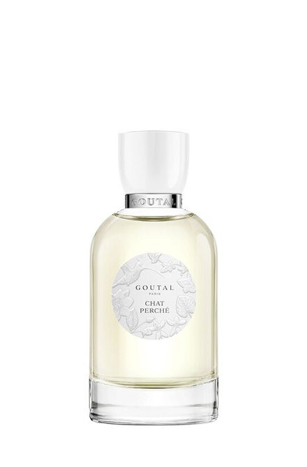 عطر شات بيرش 100 مل